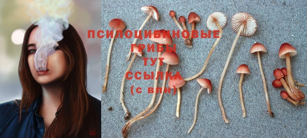 первитин Алексин
